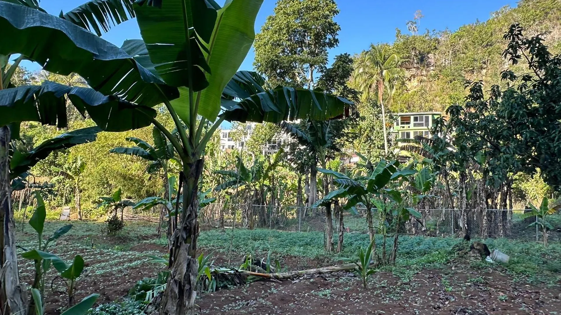 Exclusive Mountain And Farm Villa Escape Spring Garden 0*,  Jamaica